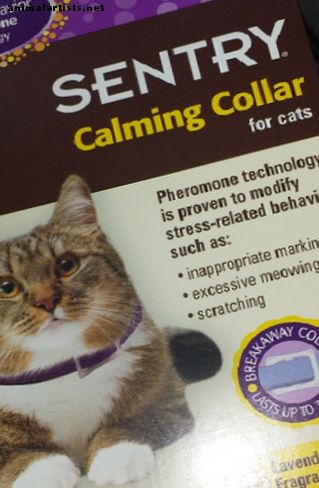 Sentry beroligende krage anmeldelse: stopper det kattesprøyting og skraping?