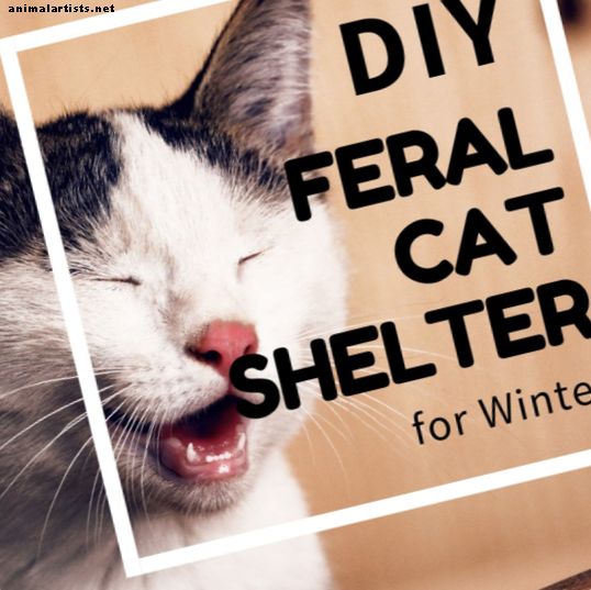 DIY Cat Shelter for Ferals in the Winter