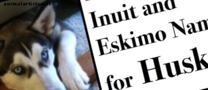 Názvy Eskimo a Inuit pre plemená Husky a ostatné psie plemená