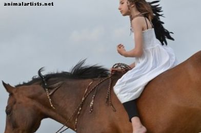 20 nombres para caballos de la mitología griega